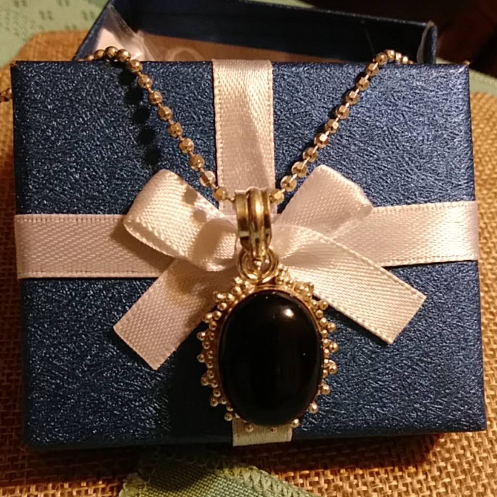 Nwt-Black Onyx Pendant On 16" Sterling Chain.